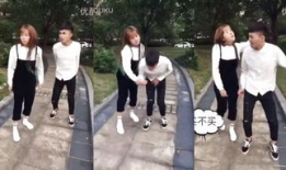 调教狗奴视频,视频背后的真实训练方法与心理洞察